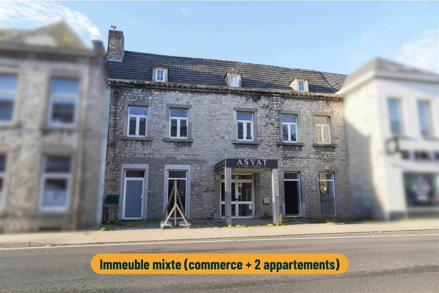 Immeuble de rapport  mixte : Commerce de 380 m² + 2 appartements + jardin
