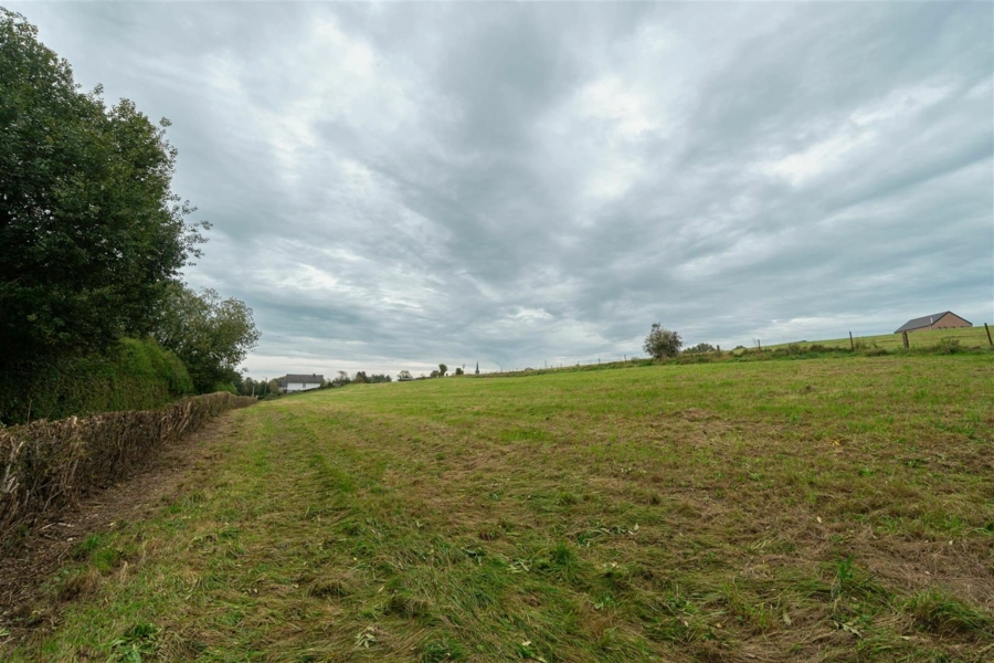 Terrain à bâtir PLAT de 32 ares à Rosée 