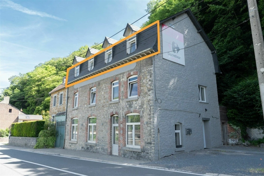 Duplex 3 CH -2 SDB avec vue Meuse - pas de travaux 