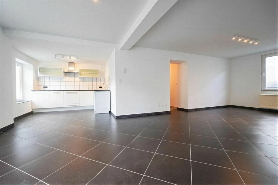 Appartement au rdc rénové 2 CH - avec terrasse 