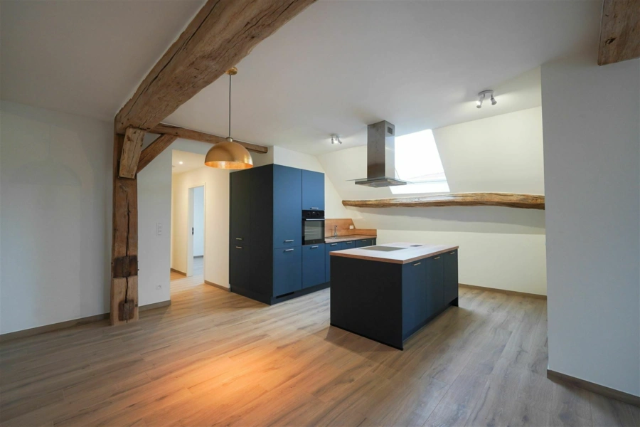 Splendide duplex de haut standing renové